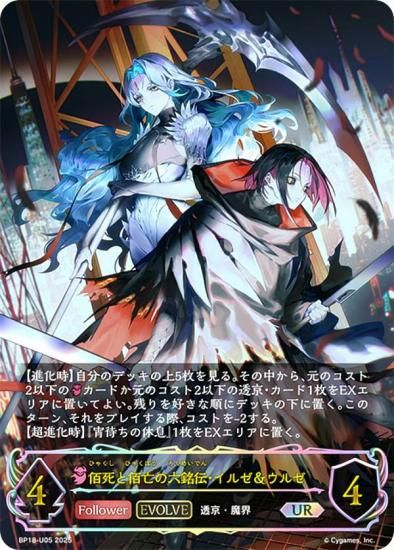 ڥѥۥɥС ܥ BP18-U05 ѻ˴ϻ를를 (UR ƥåȥ쥢) ֡ѥå 18 ԻԡƩ