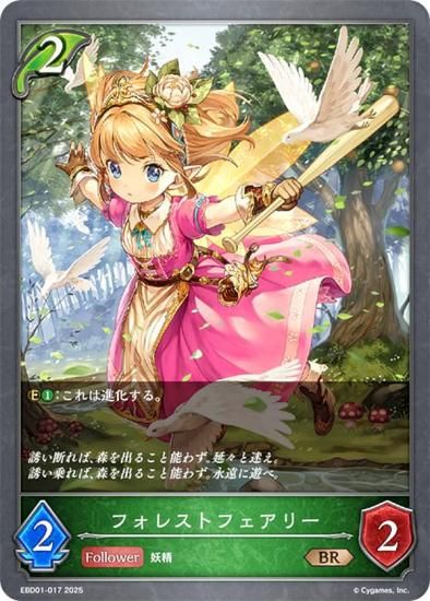 ɥС ܥ EBD01-017 ե쥹ȥե꡼ (BR ֥󥺥쥢) EXӥʡǥå 