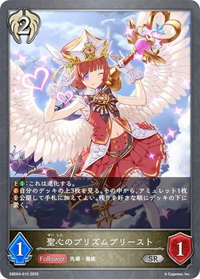 ɥС ܥ EBD04-015 Υץꥺץ꡼ (SR С쥢) EXӥʡǥå ӥå