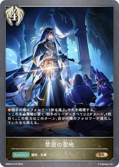 ɥС ܥ EBD04-019 ̩ (BR ֥󥺥쥢) EXӥʡǥå ӥå