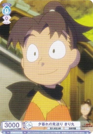 ĥ֥饦 NTMR/01S-008 ͼθ  (SD)