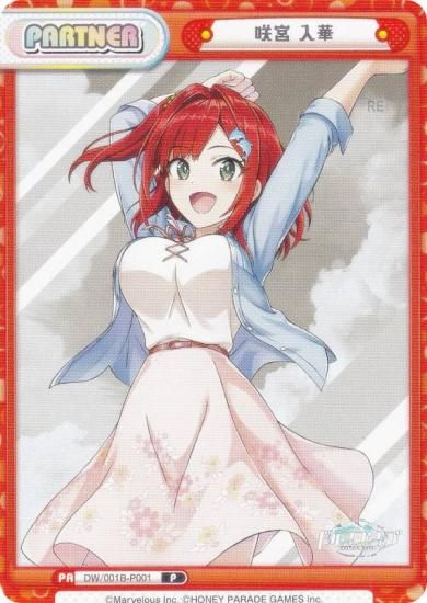 ReС DW/001B-P001   (P ѡȥʡ) ֡ѥå ɥե󥦥