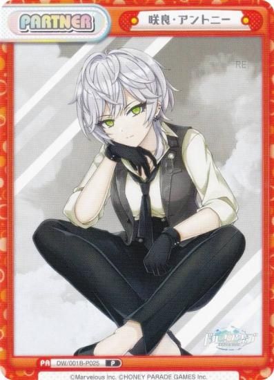 ReС DW/001B-P025 ɡȥˡ (P ѡȥʡ) ֡ѥå ɥե󥦥