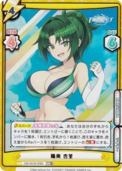 ڥѥReС DW/001B-009S  Τ (RRR ȥץ쥢) ֡ѥå ɥե󥦥