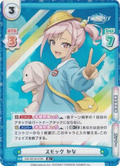 ڥѥReС DW/001B-079S å  (R 쥢) ֡ѥå ɥե󥦥