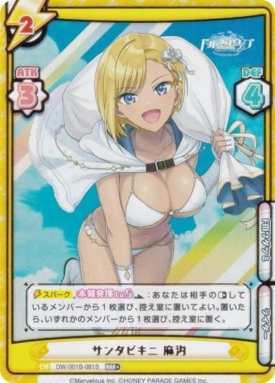 ڥѥReС DW/001B-081S 󥿥ӥ 㼮 (RRR ȥץ쥢) ֡ѥå ɥե󥦥