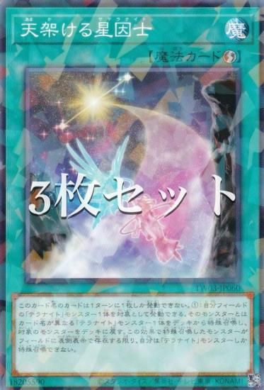 3祻åȡͷ TW03-JP060 ŷͤ (ܸ Ρޥѥ) ߥʥ롦 TERMINAL WORLD 3