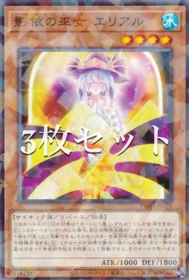 3祻åȡͷ TW03-JP072 ưͤ ꥢ (ܸ Ρޥѥ) ߥʥ롦 TERMINAL WORLD 3