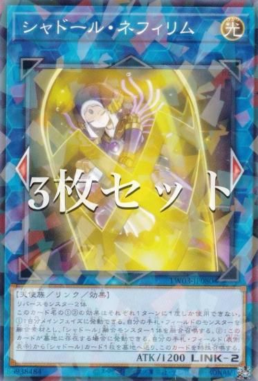 3祻åȡͷ TW03-JP080 ɡ롦ͥե (ܸ Ρޥѥ) ߥʥ롦 TERMINAL WORLD 3