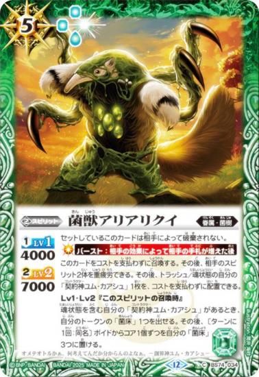 Хȥ륹ԥå BS74-034 ݽåꥢꥯ (C ) : 3 ƶ