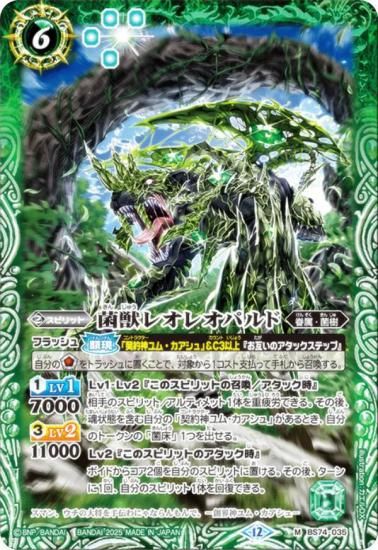 Хȥ륹ԥå BS74-035 ݽå쥪쥪ѥ (M ޥ쥢) : 3 ƶ