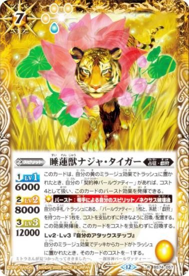 Хȥ륹ԥå BS74-057 ϡåʥ㡦 (R 쥢) : 3 ƶ