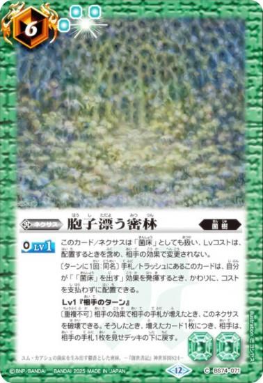 Хȥ륹ԥå BS74-071 ˦ɺ̩ (C ) : 3 ƶ