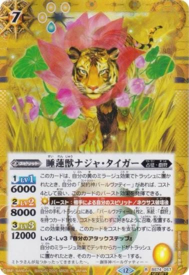 SECRETۥХȥ륹ԥå BS74-057 ϡåʥ㡦 (R 쥢) : 3 ƶ