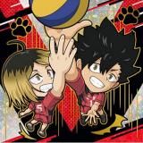 ハイキュー!! - トレカ&ホビーの通販なら REALiZE