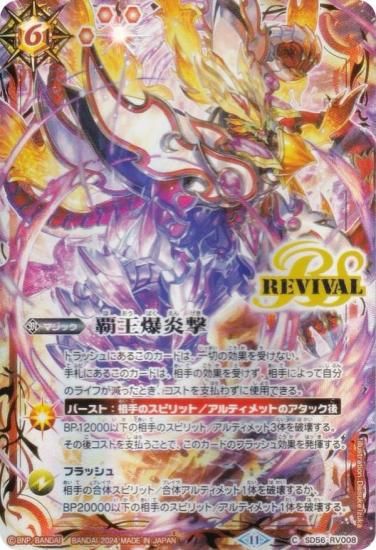 Хȥ륹ԥå SD56-RV008 Ʋ (C ) ץߥ५ɥ쥯 2024 ٥