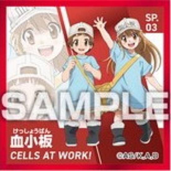 SP.03 쾮ġۤϤ餯˦ Ϥ餯륳쥯 Ĥ Τ