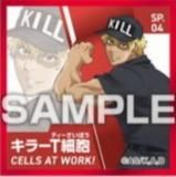 SP.04 顼T˦ۤϤ餯˦ Ϥ餯륳쥯 Ĥ Τ