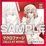 SP.05 ޥեۤϤ餯˦ Ϥ餯륳쥯 Ĥ Τ