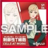 SP.06 T˦ۤϤ餯˦ Ϥ餯륳쥯 Ĥ Τ