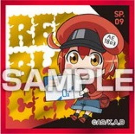 SP.09 ַۤϤ餯˦ Ϥ餯륳쥯 Ĥ Τ