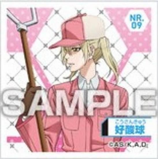 NR.09 ۤϤ餯˦ Ϥ餯륳쥯 Ĥ Τ