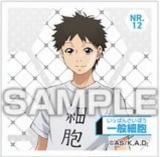 NR.12 ̺˦ۤϤ餯˦ Ϥ餯륳쥯 Ĥ Τ