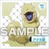 NR.14 ͶݡۤϤ餯˦ Ϥ餯륳쥯 Ĥ Τ