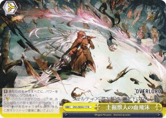  OVL/SE54-17 ڷÿͤη (N Ρޥ) ץߥ֡  С