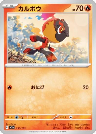 ݥ󥫡ɥ M2a 030/193 ܥ  (쥢ƥɽʤ) 