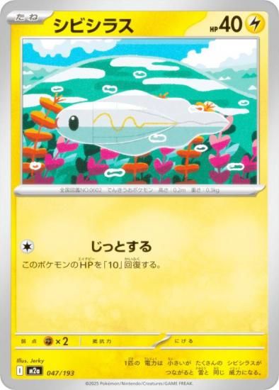 ݥ󥫡ɥ M2a 047/193 ӥ饹  (쥢ƥɽʤ) 