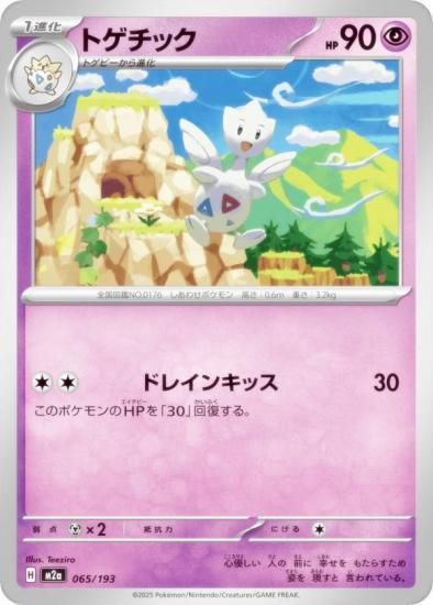 ݥ󥫡ɥ M2a 065/193 ȥå Ķ (쥢ƥɽʤ) 