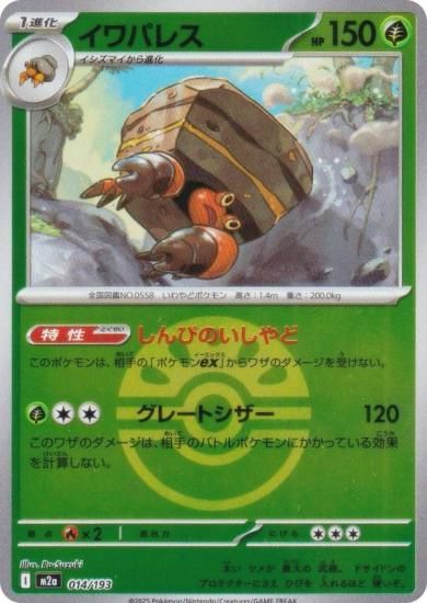 ڥߥ顼/եɥܡۥݥ󥫡ɥ M2a 014/193 ѥ쥹  (쥢ƥɽʤ) 