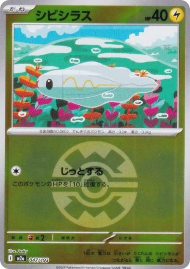 ڥߥ顼/åܡۥݥ󥫡ɥ M2a 047/193 ӥ饹  (쥢ƥɽʤ) 