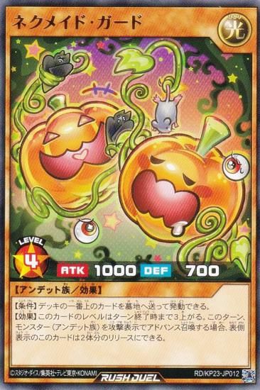 ͷ åǥ奨 RD/KP23-JP012 ͥᥤɡ (ܸ 쥢) Υ㡼