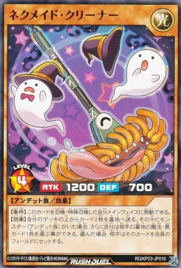 ͷ åǥ奨 RD/KP23-JP016 ͥᥤɡ꡼ʡ (ܸ Ρޥ) Υ㡼