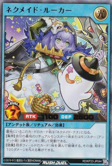 ͷ åǥ奨 RD/KP23-JP044 ͥᥤɡ롼 (ܸ ȥ쥢) Υ㡼