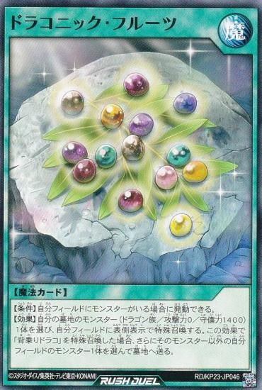 ͷ åǥ奨 RD/KP23-JP046 ɥ饳˥åե롼 (ܸ Ρޥ) Υ㡼