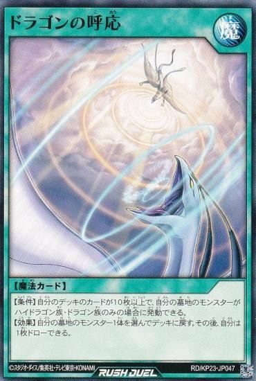 ͷ åǥ奨 RD/KP23-JP047 ɥ饴θƱ (ܸ Ρޥ) Υ㡼