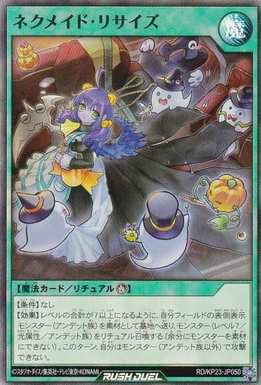 ͷ åǥ奨 RD/KP23-JP050 ͥᥤɡꥵ (ܸ ѡ쥢) Υ㡼