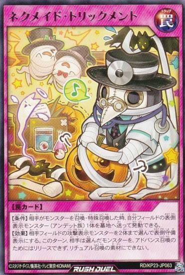 ͷ åǥ奨 RD/KP23-JP063 ͥᥤɡȥå (ܸ 쥢) Υ㡼