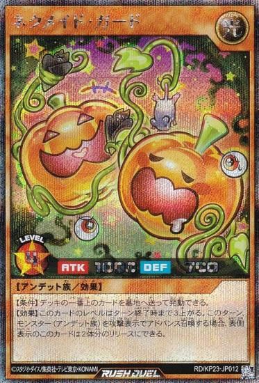 ͷ åǥ奨 RD/KP23-JP012 ͥᥤɡ (ܸ åȥ쥢) Υ㡼