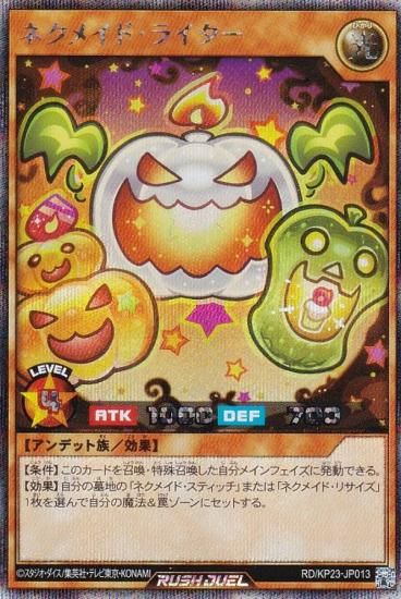 ͷ åǥ奨 RD/KP23-JP013 ͥᥤɡ饤 (ܸ åȥ쥢) Υ㡼