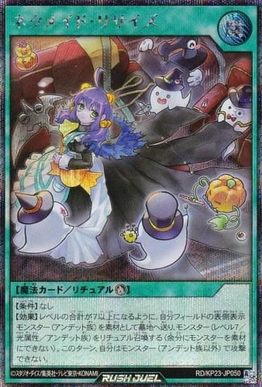 ͷ åǥ奨 RD/KP23-JP050 ͥᥤɡꥵ (ܸ åȥ쥢) Υ㡼