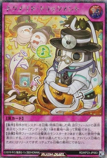 ͷ åǥ奨 RD/KP23-JP063 ͥᥤɡȥå (ܸ åȥ쥢) Υ㡼