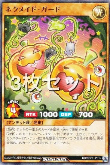 3祻åȡͷ åǥ奨 RD/KP23-JP012 ͥᥤɡ (ܸ 쥢) Υ㡼