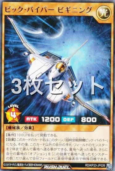 3祻åȡͷ åǥ奨 RD/KP23-JP026 ӥåХѡ ӥ˥ (ܸ 쥢) Υ㡼