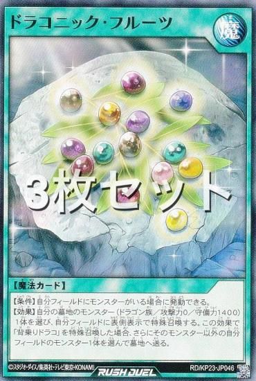 3祻åȡͷ åǥ奨 RD/KP23-JP046 ɥ饳˥åե롼 (ܸ Ρޥ) Υ㡼