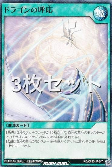 3祻åȡͷ åǥ奨 RD/KP23-JP047 ɥ饴θƱ (ܸ Ρޥ) Υ㡼