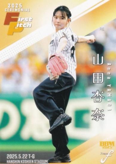 BBM ١ܡ륫 FP29 İ ͥ (쥮顼/ϵ弰)